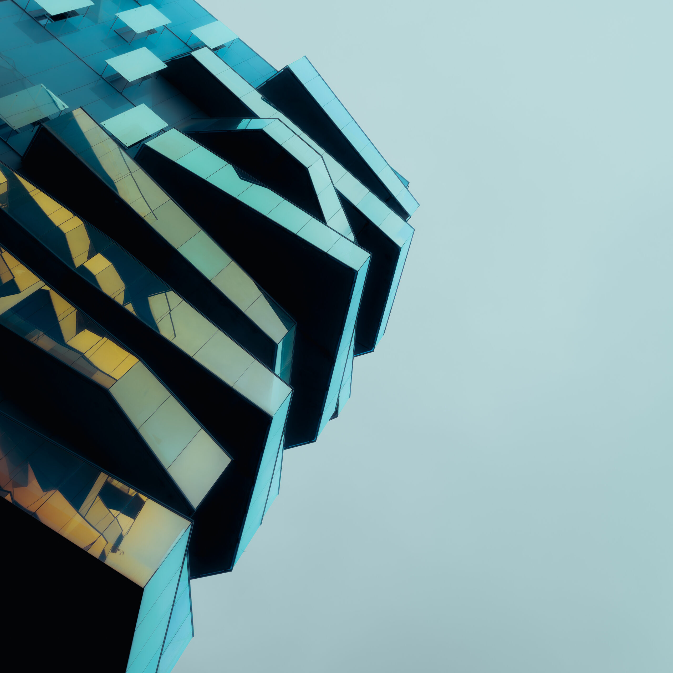 54165294981_b812093ac5_o